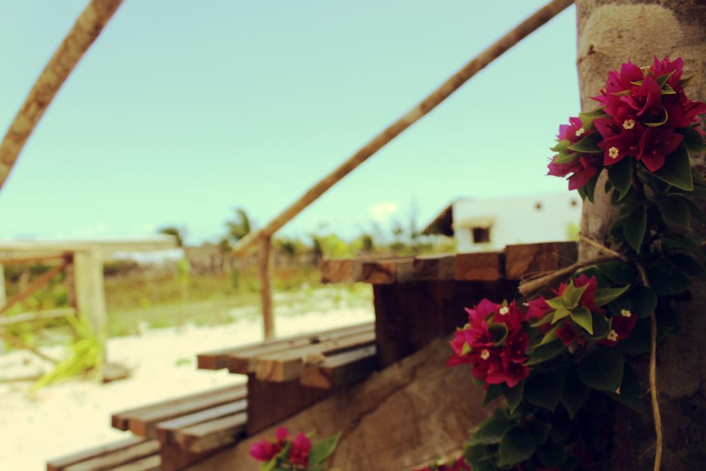Eco Kite Dunas Prea Exterior foto